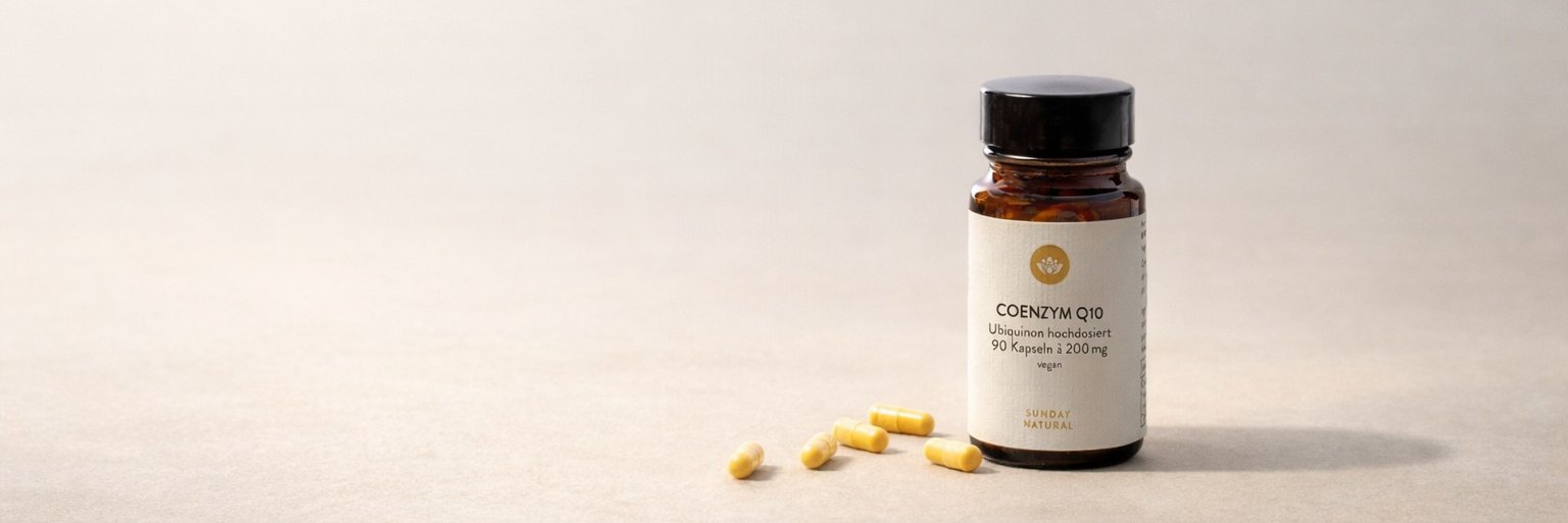 Omega 3 Kapseln und Öle von Sunday Natural im Vergleich